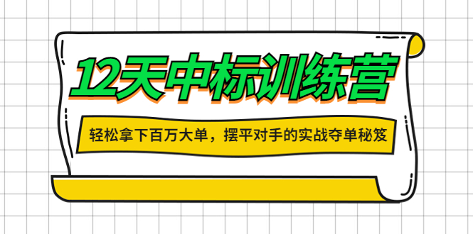 【副业项目4416期】12天中标训练营：轻松拿下百万大单，摆平对手的实战夺单秘笈-沃创网