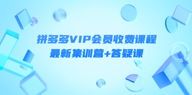 【副业项目4426期】某社群·拼多多VIP会员收费课程，最新集训营+答疑课-价值3299元-沃创网