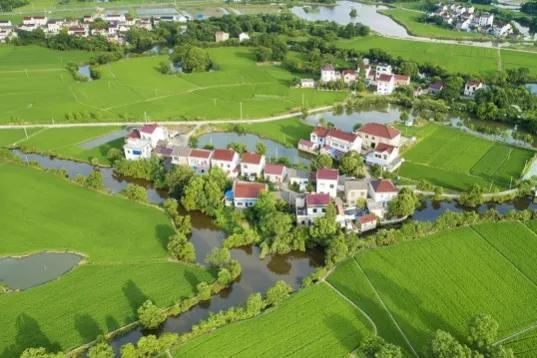 这6类项目在农村正成香馍馍？返乡创业摸准门路，年入百万不是梦农村商机好项目有哪些-沃创网