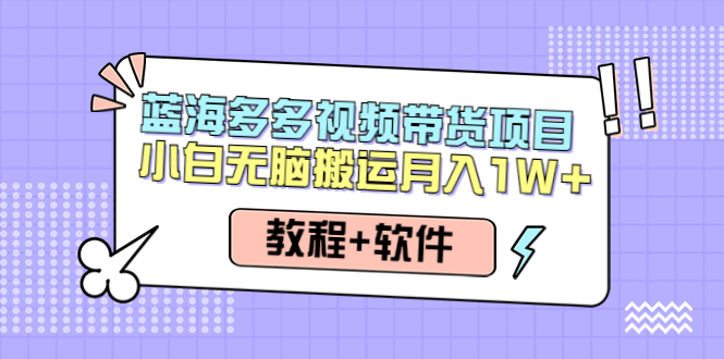 【副业项目4612期】人人都能操作的蓝海多多视频带货项目 小白无脑搬运月入10000+（教程+软件）-沃创网