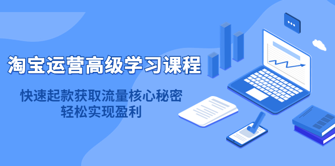 【副业项目4654期】淘宝运营高级学习课程：快速获取流量核心秘密，轻松实现盈利-沃创网