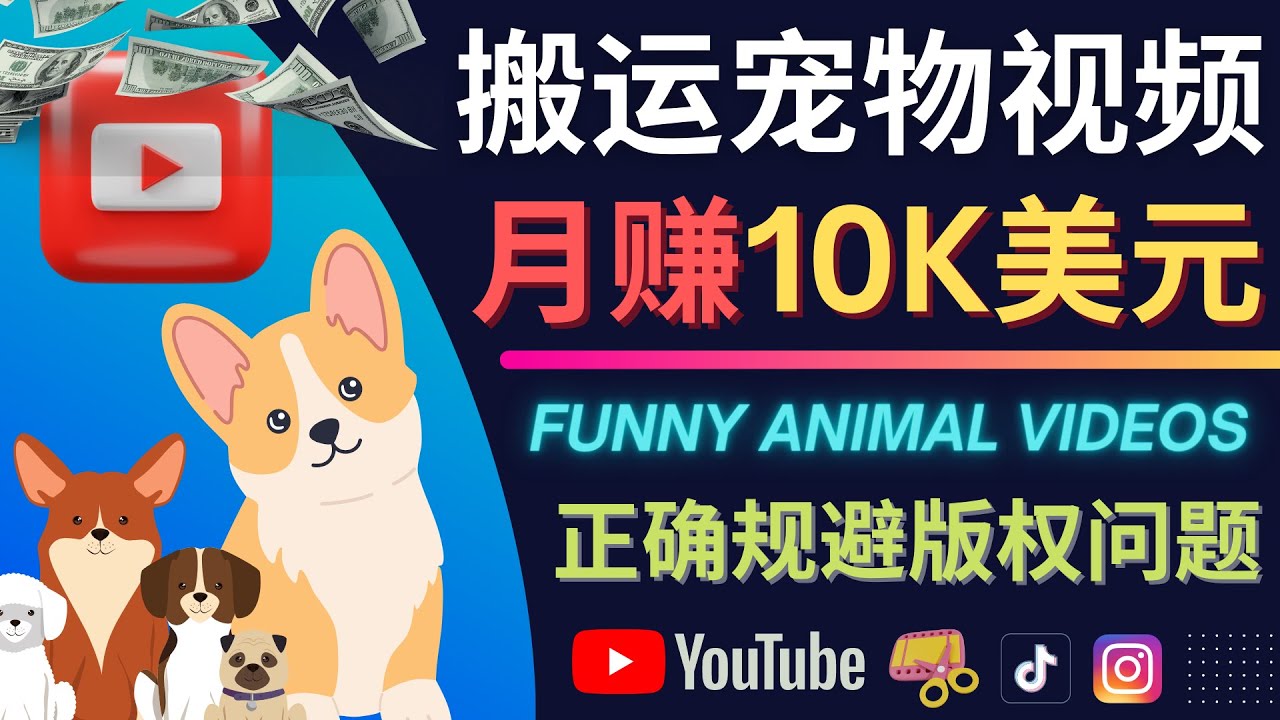 【副业项目4509期】搬运TIKTOK视频到YouTube，并进行二次创作，月赚1万美元以上-沃创网