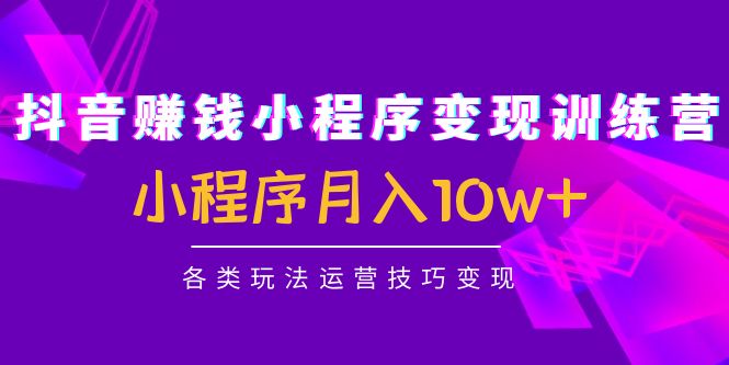 【副业项目4765期】抖音赚钱小程序变现训练营：小程序月入10w+各类玩法运营技巧变现-沃创网