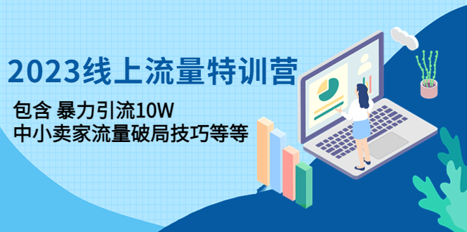 【副业项目4809期】2023线上流量特训营：包含暴力引流10W+中小卖家流量破局技巧等等-沃创网