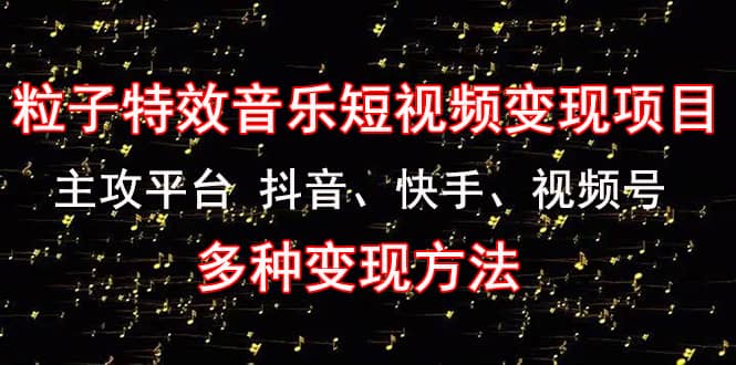 【副业项目4821期】《粒子特效音乐短视频变现项目》主攻平台 抖音、快手、视频号 多种变现方法-沃创网