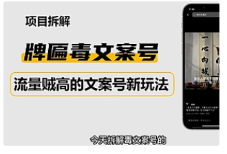 【副业项目4912期】2023抖音快手毒文案新玩法，牌匾文案号，起号快易变现-沃创网