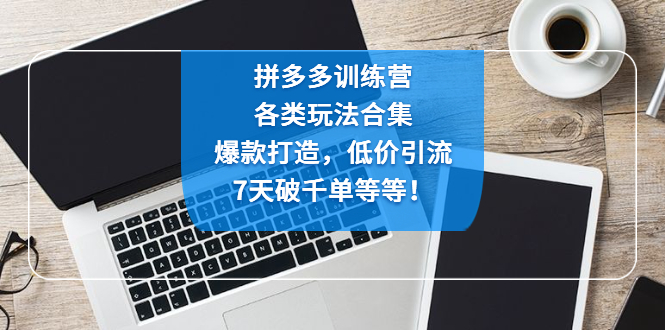 【副业项目4925期】拼多多训练营：各玩法合集，爆款打造，低价引流，7天破千单等等-沃创网