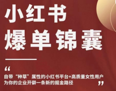 【副业项目4942期】小红书爆单锦囊，自带种草属性+高质量女性用户，为你的企业开辟一条新的掘金路径-沃创网