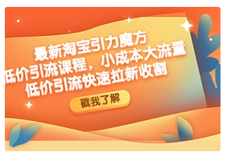 【副业项目4943期】最新淘宝引力魔方低价引流实操：小成本大流量，低价引流快速拉新收割-沃创网