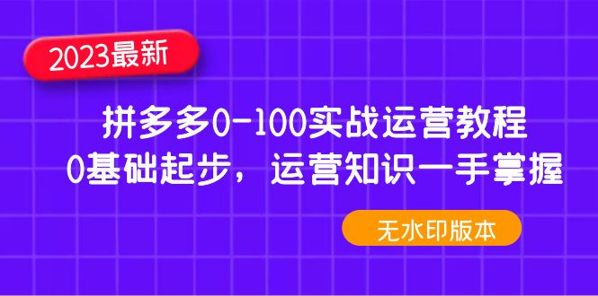 【副业项目5048期】2023拼多多0-100实战运营教程，0基础起步，运营知识一手掌握-沃创网