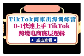 【副业项目5013期】TikTok商家出海训练营：0-1快速上手 TikTok跨境电商底层逻辑-沃创网