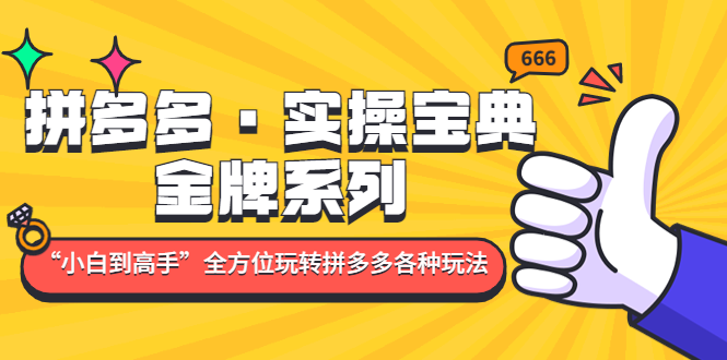 【副业项目5130期】拼多多·实操宝典：金牌系列“小白到高手”带你全方位玩转拼多多各种玩法-沃创网