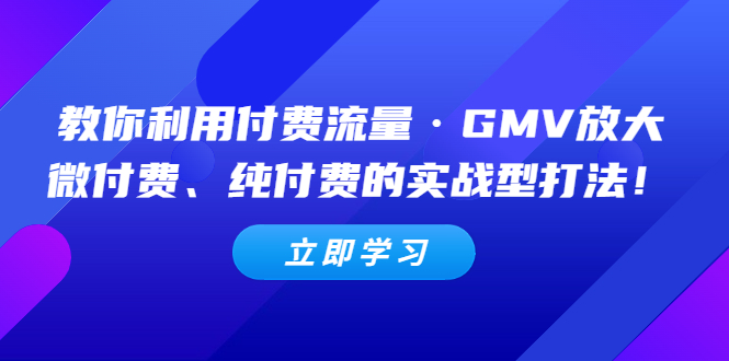 【副业项目5265期】教你利用付费流量·GMV放大，微付费、纯付费的实战型打法-沃创网