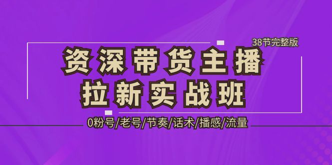 【副业项目5333期】资深·带货主播拉新实战班，0粉号/老号/节奏/话术/播感/流量-38节完整版-沃创网
