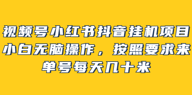 【副业项目2904期】视频号小红书抖音挂机项目，小白无脑操作，按照要求来，单号每天几十米-沃创网