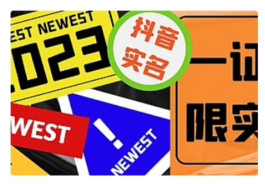 【副业项目5427期】外面收费1200最新抖音一证无限实名技术 无视限制封禁【详细玩法视频教程】-沃创网