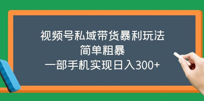 【副业项目5627期】视频号私域带货暴利玩法，简单粗暴，一部手机实现日入300+-沃创网