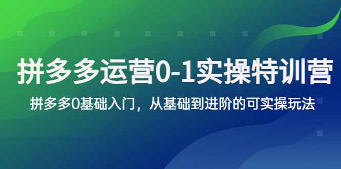 【副业项目5801期】拼多多-运营0-1实操训练营，拼多多0基础入门，从基础到进阶的可实操玩法-沃创网