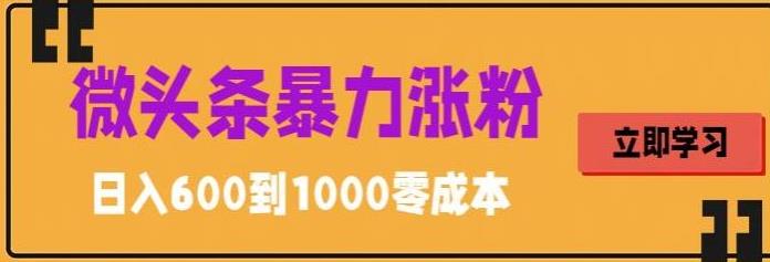 【副业项目5970期】微头条暴力涨粉技巧搬运文案就能涨几万粉丝，简单0成本，日赚600-沃创网