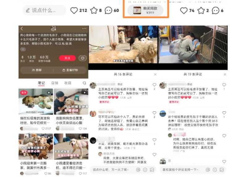 【副业项目5898期】小红书蓝海类赛道：小动物打赏与购买变现副业项目，一条龙玩法分享给你！-沃创网