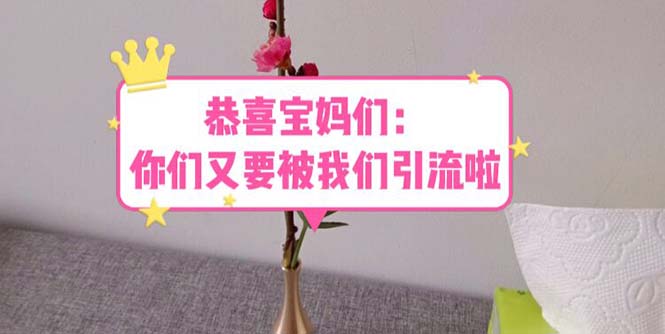 【副业项目5918期】恭喜宝妈们：你们又要被我们引流了（教程+222g资料）-沃创网