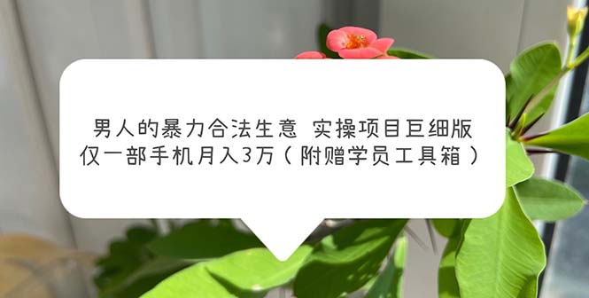 【副业项目5982期】男人的暴力合法生意实操项目巨细版：仅一部手机月入3w（附赠学员工具箱）-沃创网