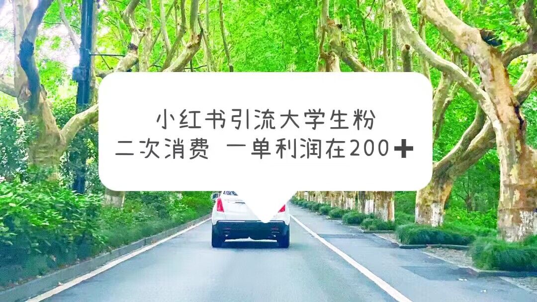 【副业项目5937期】小红书引流大学生粉，变现项目，一单利润在200+（教程+资源）-沃创网