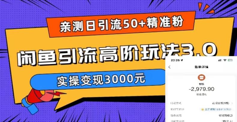 【副业项目5795期】实测日引50+精准粉，闲鱼引流高阶玩法3.0，实操变现3000元-沃创网