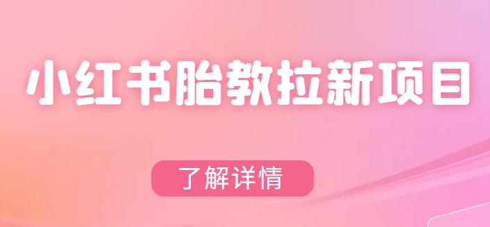 【副业项目6099期】小红书胎教网盘拉新项目，可在私域变现两次（作品制作教程+素材）-沃创网