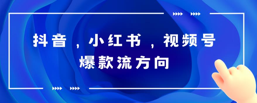 【副业项目6104期】抖音，小红书，视频号爆款流视频制作，简单制作掌握流量密码-沃创网