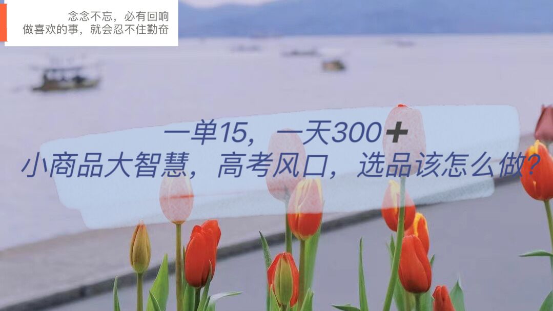 【副业项目6119期】一单15，一天300+，小商品大智慧，高考风口，选品该怎么布局-沃创网