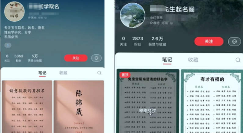 【副业项目6232期】【新课】冷门暴利项目：给宝宝起名（一单200+）内附教程+工具-沃创网
