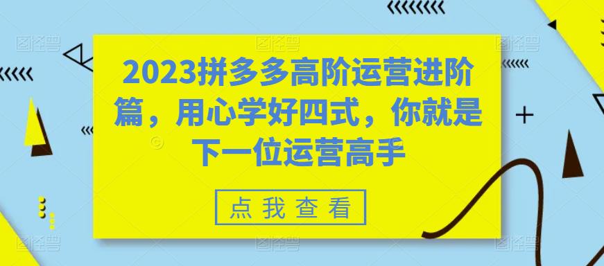 【副业项目6241期】2023拼多多高阶运营进阶篇，用心学好四式，你就是下一位运营高手-沃创网