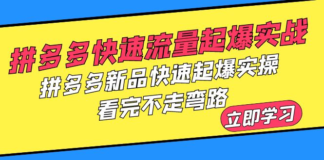 【副业项目6310期】拼多多-快速流量起爆实战，拼多多新品快速起爆实操，看完不走弯路-沃创网