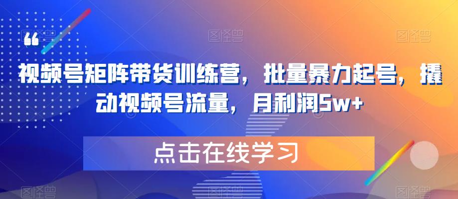 【副业项目6254期】视频号矩阵带货训练营，批量暴力起号，撬动视频号流量，月利润5w+-沃创网