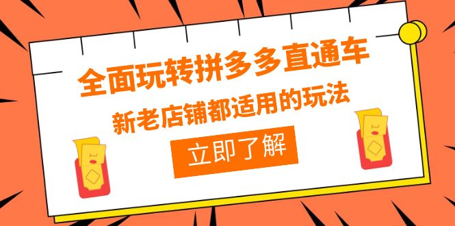 【副业项目6359期】全面玩转拼多多直通车，新老店铺都适用的玩法（12节精华课）-沃创网