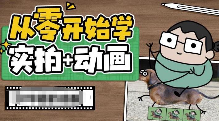 【副业项目6738期】从零开始学实拍加动画，实拍加动画创意教程（49节视频课）-沃创网