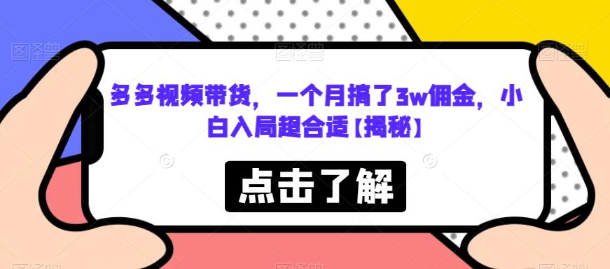 【副业项目6752期】多多视频带货，一个月搞了3w佣金，小白入局超合适【揭秘】-沃创网