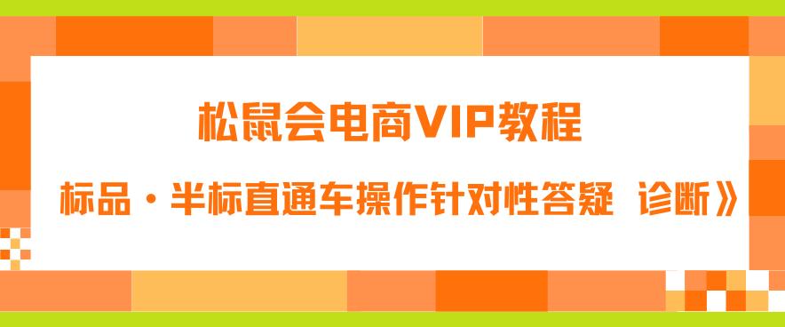 【副业项目6373期】松鼠会电商VIP教程：松鼠《付费推广标品·半标直通车操作针对性答疑&诊断》-沃创网