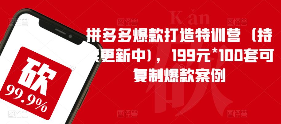 【副业项目6391期】拼多多爆款打造特训营（持续更新中)，199元*100套可复制爆款案例-沃创网