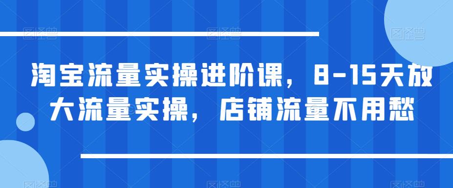 【副业项目6415期】淘宝流量实操进阶课，8-15天放大流量实操，店铺流量不用愁-沃创网