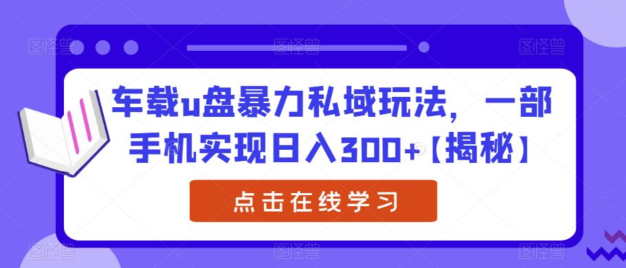 【副业项目6441期】车载u盘暴力私域玩法，一部手机实现日入300+【揭秘】-沃创网