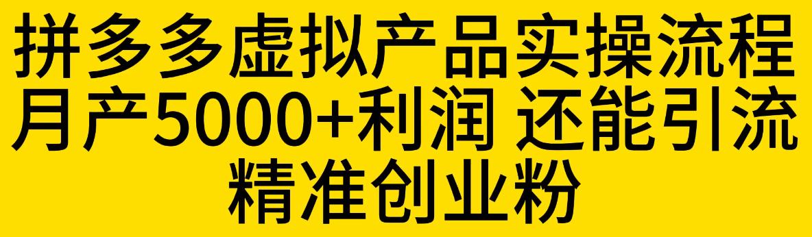 【副业项目6569期】拼多多虚拟产品实操流程，月产5000+利润，还能引流精准创业粉-沃创网