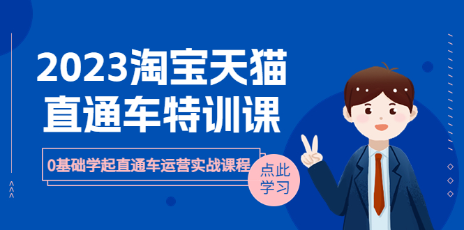【副业项目6489期】2023淘宝·天猫直通车评特训课，0基础学起直通车运营实战课程（8节课时）-沃创网