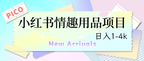 【副业项目6712期】最新小红书情趣用品项目，日入1-4k-沃创网