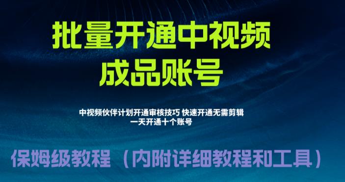 【副业项目6718期】外面收费1980暴力开通中视频计划教程，附 快速通过中视频伙伴计划的办法-沃创网