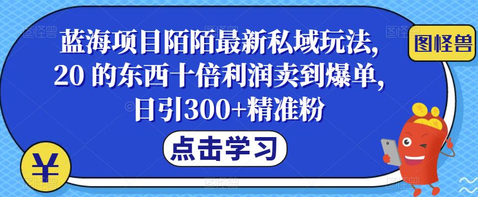 【副业项目6699期】蓝海项目陌陌最新私域玩法，20 的东西十倍利润卖到爆单，日引300+精准粉【揭秘】-沃创网