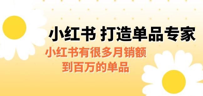 【副业项目6703期】某公众号付费文章《小红书打造单品专家》小红书有很多月销额到百万的单品-沃创网