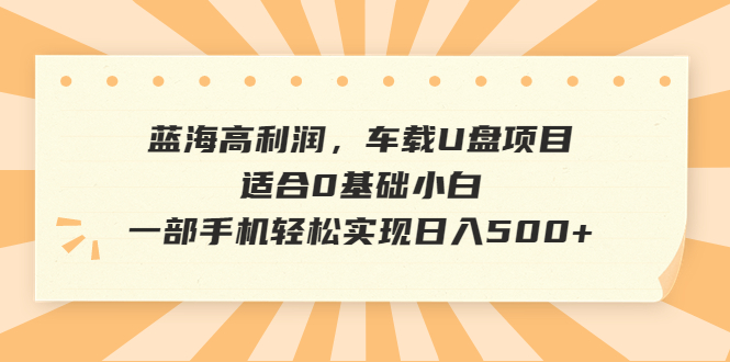 【副业项目6800期】蓝海高利润，车载U盘项目，适合0基础小白，一部手机轻松实现日入500+-沃创网