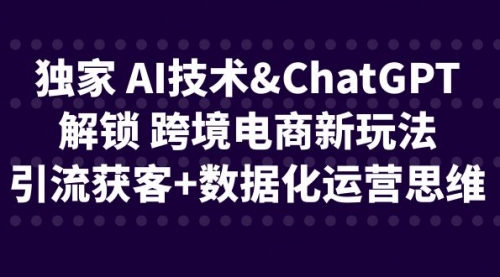 【副业项目6780期】独家 AI技术&ChatGPT解锁 跨境电商新玩法，引流获客+数据化运营思维-沃创网